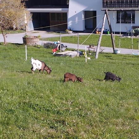 Appartamento Haus Abendrot Dornbirn Esterno foto